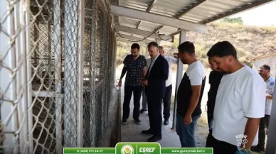 Güroymak Belediyesi Hayvan Bakımevinde 128 Köpeğe Özenle Bakılıyor