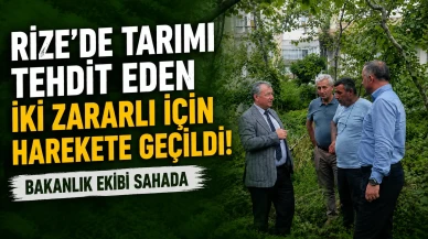 Rize’de Tarımı Tehdit Eden İki Zararlı İçin Harekete Geçildi: Bakanlık Ekibi Sahada