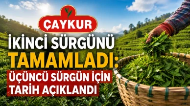 ÇAYKUR İkinci Sürgünü Tamamladı: Üçüncü Sürgün İçin Tarih Açıklandı