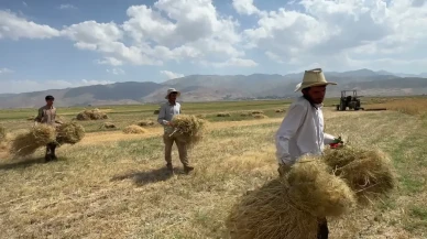 Hakkari’de çiftçilerden sondaj talebi... Su tarlaya ulaşmıyor, verim düşüyor