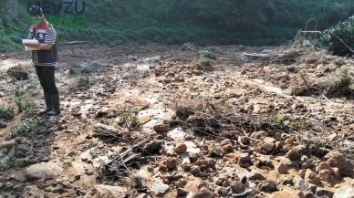 İyidere'de Sel ve Heyelanın Tarıma Verdiği Zarar Belirleniyor: 300 Dekar Çay Bahçesi Hasar Gördü
