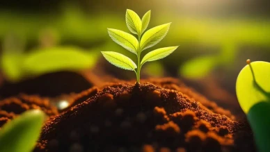 Gübre Fiyatlarını Dengelemek İçin Alınan Yeni Vergi Kararı Neleri Kapsıyor?