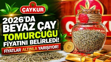 ÇAYKUR, 2026'da beyaz çay tomurcuğu fiyatını belirledi; fiyatlar altınla yarışıyor!