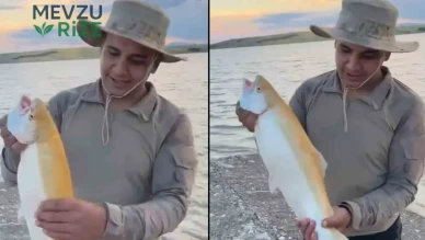 Elazığ'da Keban Barajı'nda Eşine Az Rastlanan Sarı Albino Alabalık Tutuldu!