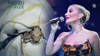 İrem Derici, Konserinde Dev Çekirgelere Yakalandı: Mikrofonu Uzatıp Adını Sordum