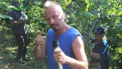 Ordu'da Müzik Eşliğinde Fındık Hasadı: Hasat Coşkusunu Artıran Eğlenceli Bir Etkinlik!