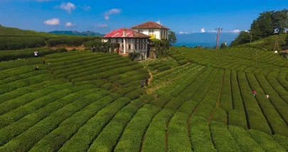 Rize’de Çay Bahçeleri Listesi (2026) – Manzaralı ve En Çok Tercih Edilen Mekânlar