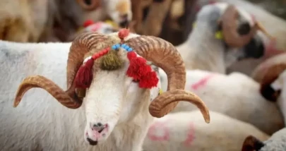 Kurban Bayramı 2026 kaç gün sürecek, tatil ne zaman?