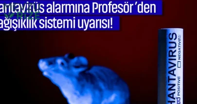 Hantavirüs alarmına Profesör ’den bağışıklık sistemi uyarısı!