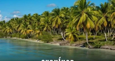 Survivor 2026'da Türk-Yunan Ödül Oyununu Hangi Takım Kazandı? 7 Mayıs Bölümünden Detaylar!