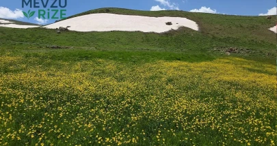 Norduz'da Mevsimlerin Buluşması: Karlı Zirveler ve Çiçek Açan Yaylalar Göz Kamaştırıyor!