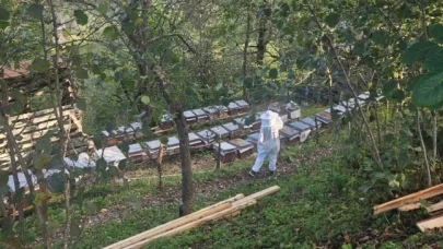 Şalpazarı'nda Arıcılık Kayıt Çalışmaları Devam Ediyor, Kaliteli Bal İçin Önlem Alınıyor