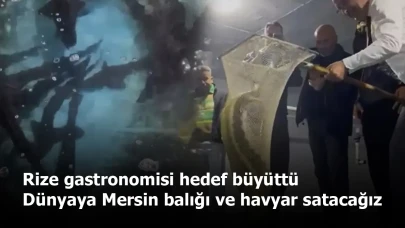 Rize gastronomisi hedef büyüttü: Dünyaya Mersin balığı ve havyar satacağız