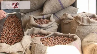 Fındık Üreticilerinin 400 Lira Hedefi, Bir Sonraki Bahara Ertelendi!