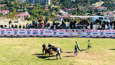 Kültürel Miras: Ardanuç Boğa Güreşleri Ödülleri Sahiplerini Buldu
