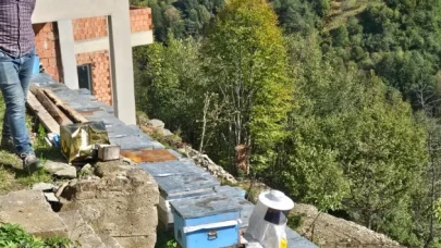 Şalpazarı'nda arıcılık için kovan tespit çalışmaları sürdürüldü, kayıtlı üretim artırılacak
