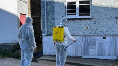 Trabzon'da kahverengi kokarca ile mücadele ilaçlama çalışmaları sürüyor