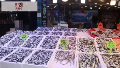 Hamsi ve istavrit 100, mezgit 250 lira