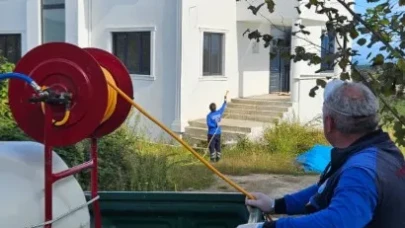 Trabzon'da Kahverengi Kokarca ile Mücadele İçin İlaçlama Yapıldı