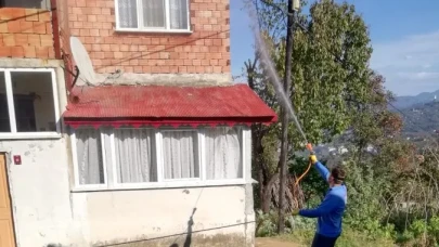 Beşikdüzü'nde Kokarca Zararlısına Karşı İlaçlama Çalışmaları Devam Ediyor