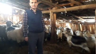 Trabzon'da Hayvan Sağlığı İçin Kimliklendirme ve Sağlık Taramaları Sürüyor