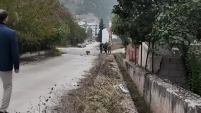 Ardanuç'ta Altyapı Çalışmaları Tamamlandı, Hizmet Kalitesi Artıyor