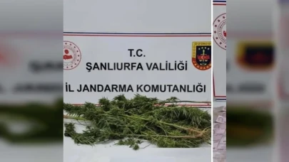 Şanlıurfa'da narkotik operasyon: 4 şüpheli gözaltına alındı