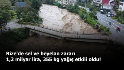 Rize'de sel ve heyelan zararı 1,2 milyar lira, 355 kg yağış etkili oldu!