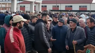 Bayburt'taki Canlı Hayvan Pazarı, 2025'teki kapanmanın ardından yeniden açıldı!