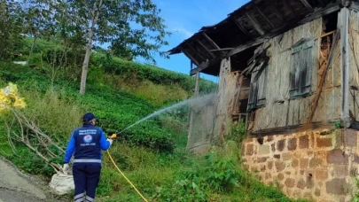 Sürmene'de Tarım Müdürlüğü Zararlılarla Mücadelede İlaçlama Çalışmalarını Sürdürüyor