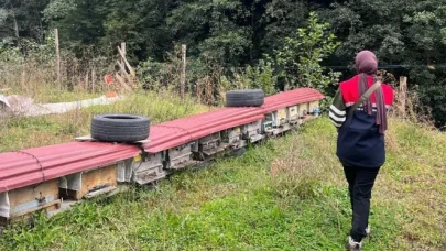 Çaykara’da Arılı Kovan Tespit Çalışmaları Sürüyor