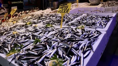 Rize'de hamsinin fiyatları yeniden arttı: İlgi azalmadı