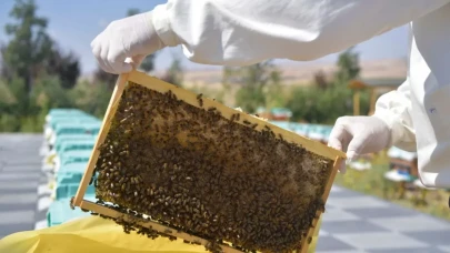 Büyükşehir Belediyesi’nden Arıcılara Önemli Destek: Arıcılık Araştırma ve Eğitim Merkezi Açıldı