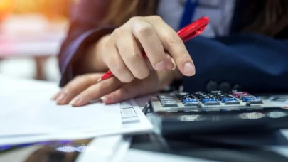 Düşük gelir beyan eden meslekler mercek altında