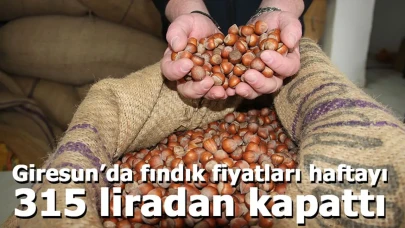 Giresun’da fındık fiyatları haftayı 315 liradan kapattı