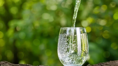 Mideyi delmiyor, koruyor! Yemekten sonra bir şişe...