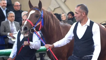 ‘Hızlı Yasin’ 10,5 milyon liraya alıcı buldu