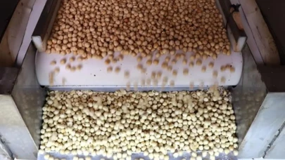 Türkiye fındık ihracatından 9 ayda 1,6 milyar doları aşkın gelir sağladı