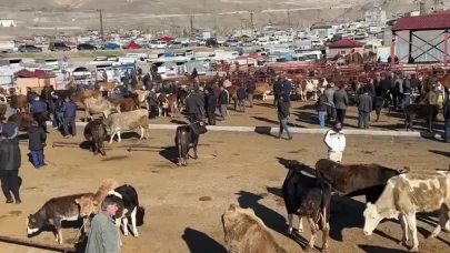 Van’da hayvancılık alarm veriyor: “Piyasalar iyi değil. Saman altın gibi"