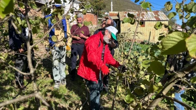 Düzköy'de Fındık Üreticilerine Özel Eğitim Programı Gerçekleştirildi
