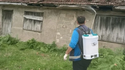 Karaca Mahallesi'nde kahverengi kokarca zararlısına karşı ilaçlama seferberliği devam ediyor