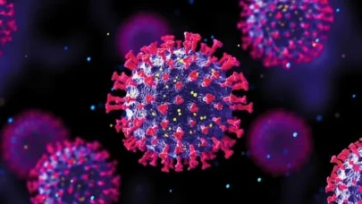 H3N2 Virüsü Türkiye'de Tehlike Saçıyor, Uzmanlar Uyarıyor!