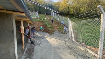 Borçka’da Can Dostlar İçin Modern Barınağa Doğru Çalışmalar Sürüyor