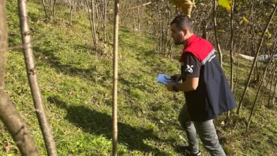 Şalpazarı’nda Fındık Arazilerinde Zararlı ve Hastalık Tespit Çalışmaları Sürüyor