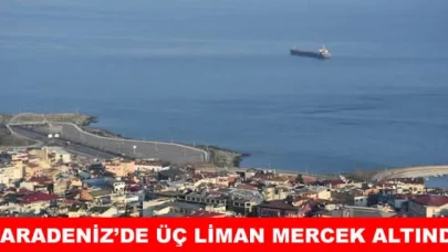 Doğu Karadeniz'in üç limanında metal kirliliği mercek altında