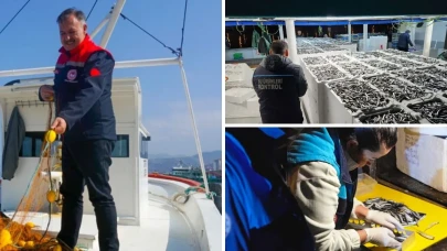 Trabzon'da Hamsi Avcılığına Sıkı Denetim, Stoklar Korunuyor