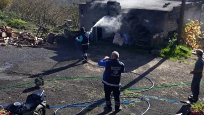 Trabzon'da Kahverengi Kokarca İçin Kışlak İlaçlama Çalışmaları Sürüyor