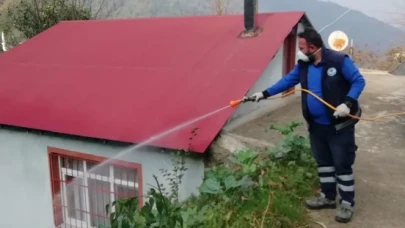 Trabzon'da kahverengi kokarca zararlısına karşı ilaçlama çalışmaları devam ediyor