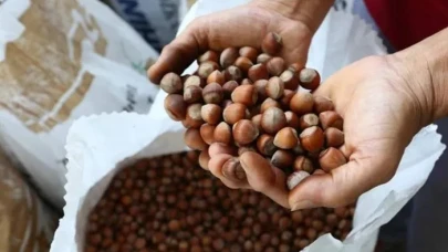 Nutella Türkiye'den fındık almayacak