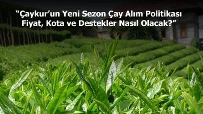 Çaykur’un Yeni Sezon Çay Alım Politikası | Fiyat, Kota ve Destekler Nasıl Olacak?
